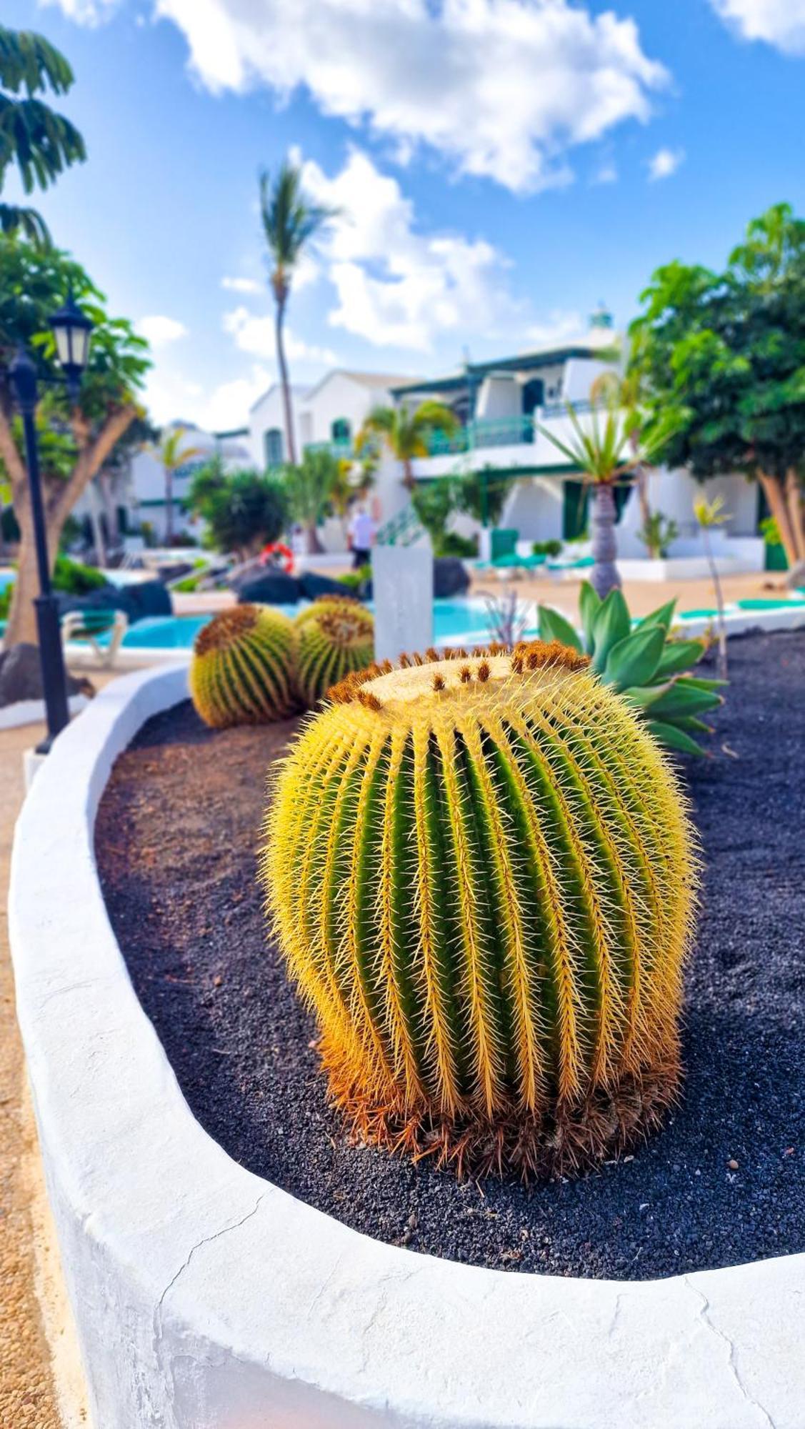 Un Capricho Puerto del Carmen (Lanzarote) Exterior foto
